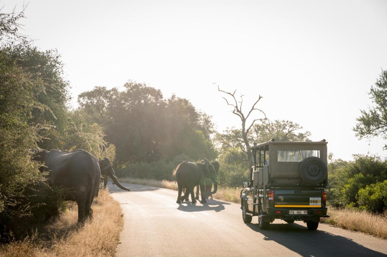 Nkuhlu Tented Camp Skukuza Exteriér fotografie