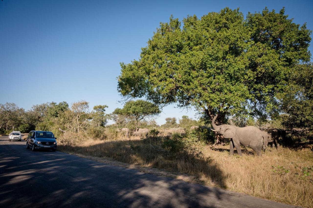 Nkuhlu Tented Camp Skukuza Exteriér fotografie
