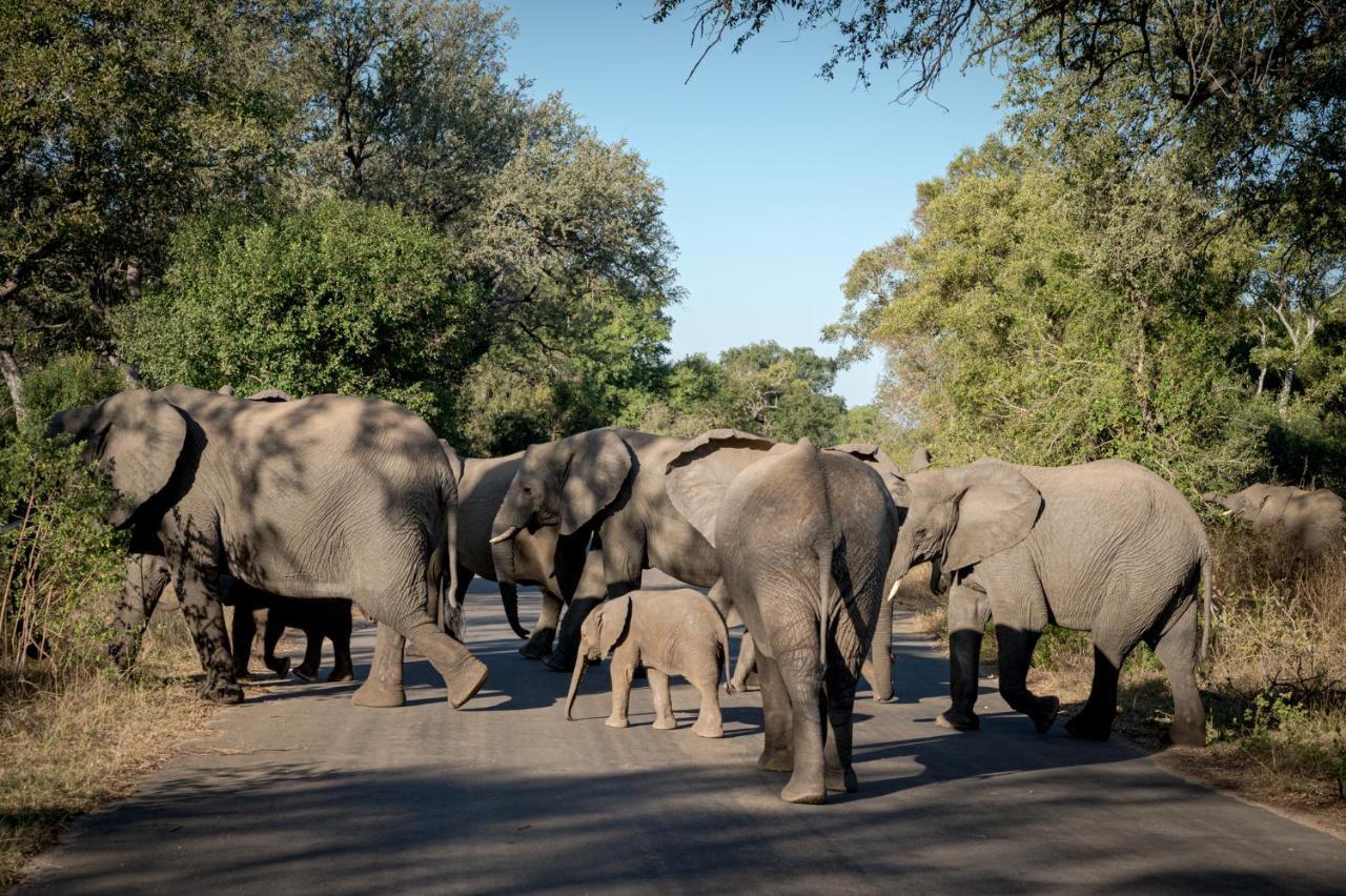 Nkuhlu Tented Camp Skukuza Exteriér fotografie