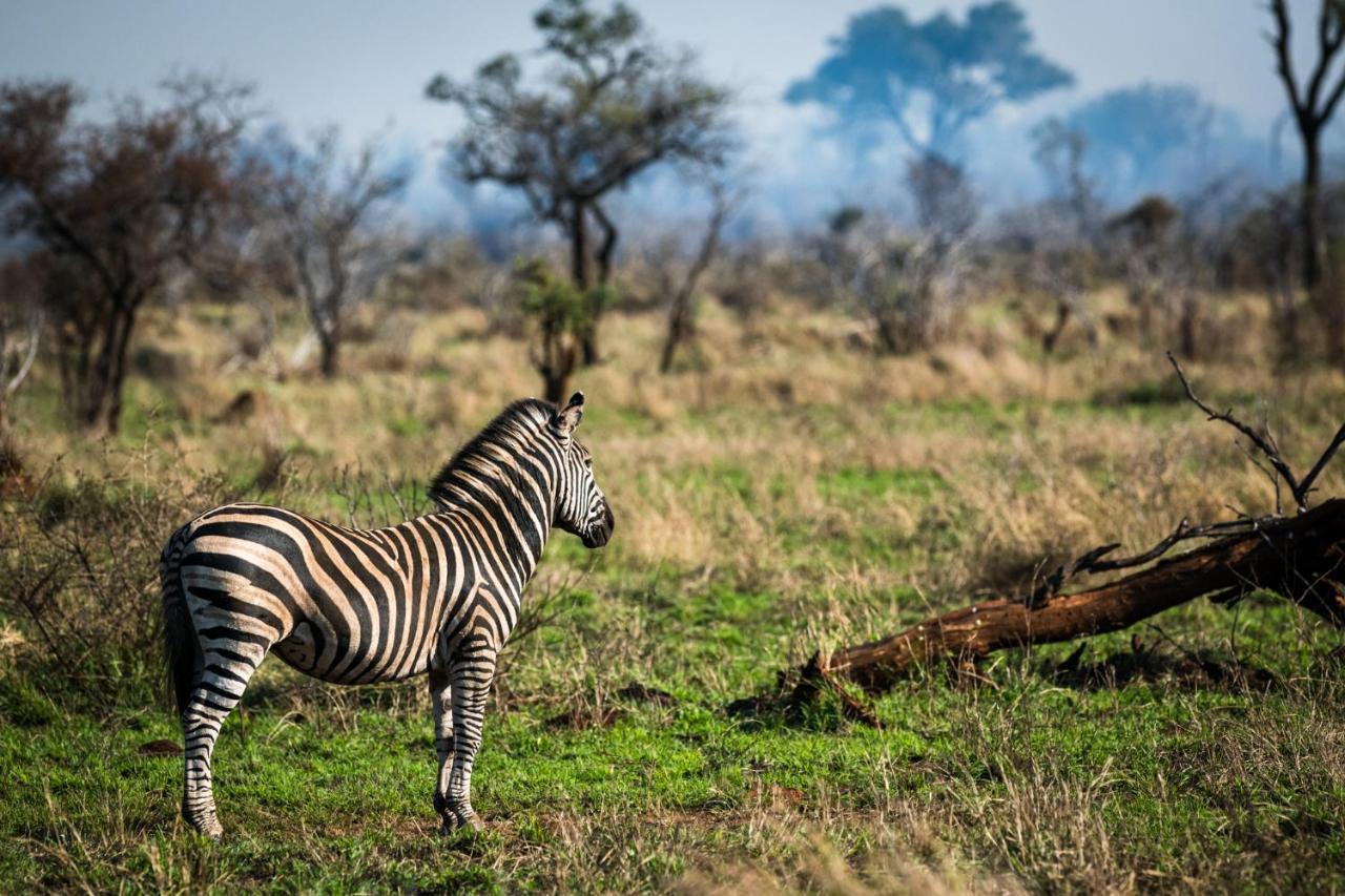 Nkuhlu Tented Camp Skukuza Exteriér fotografie