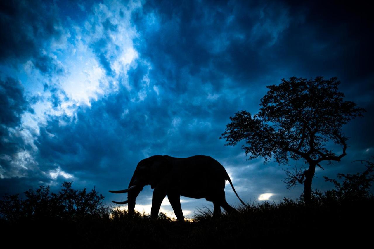 Nkuhlu Tented Camp Skukuza Exteriér fotografie