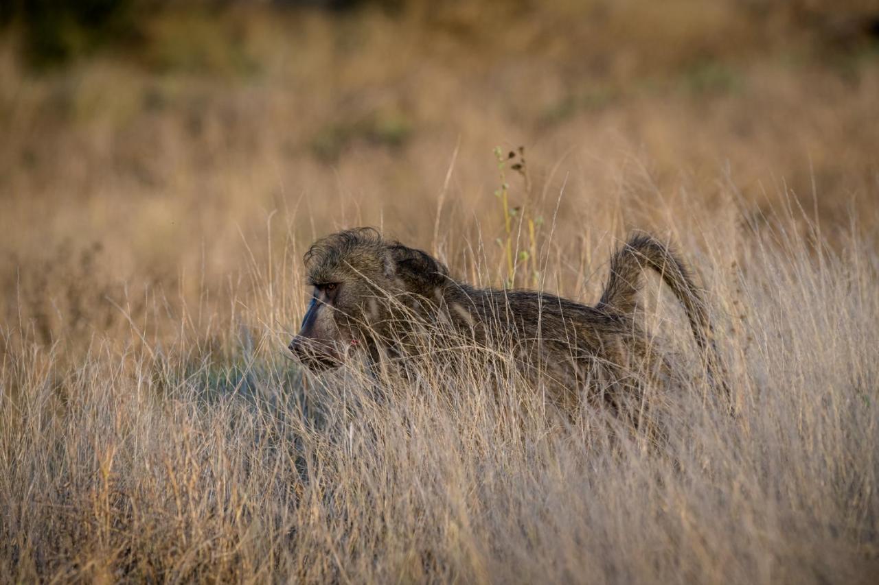Nkuhlu Tented Camp Skukuza Exteriér fotografie