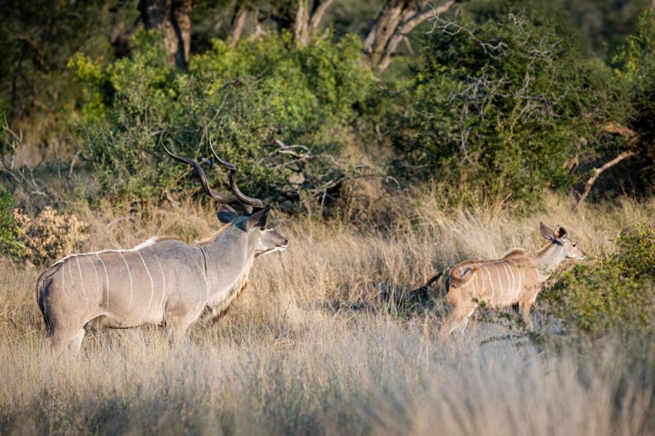 Nkuhlu Tented Camp Skukuza Exteriér fotografie