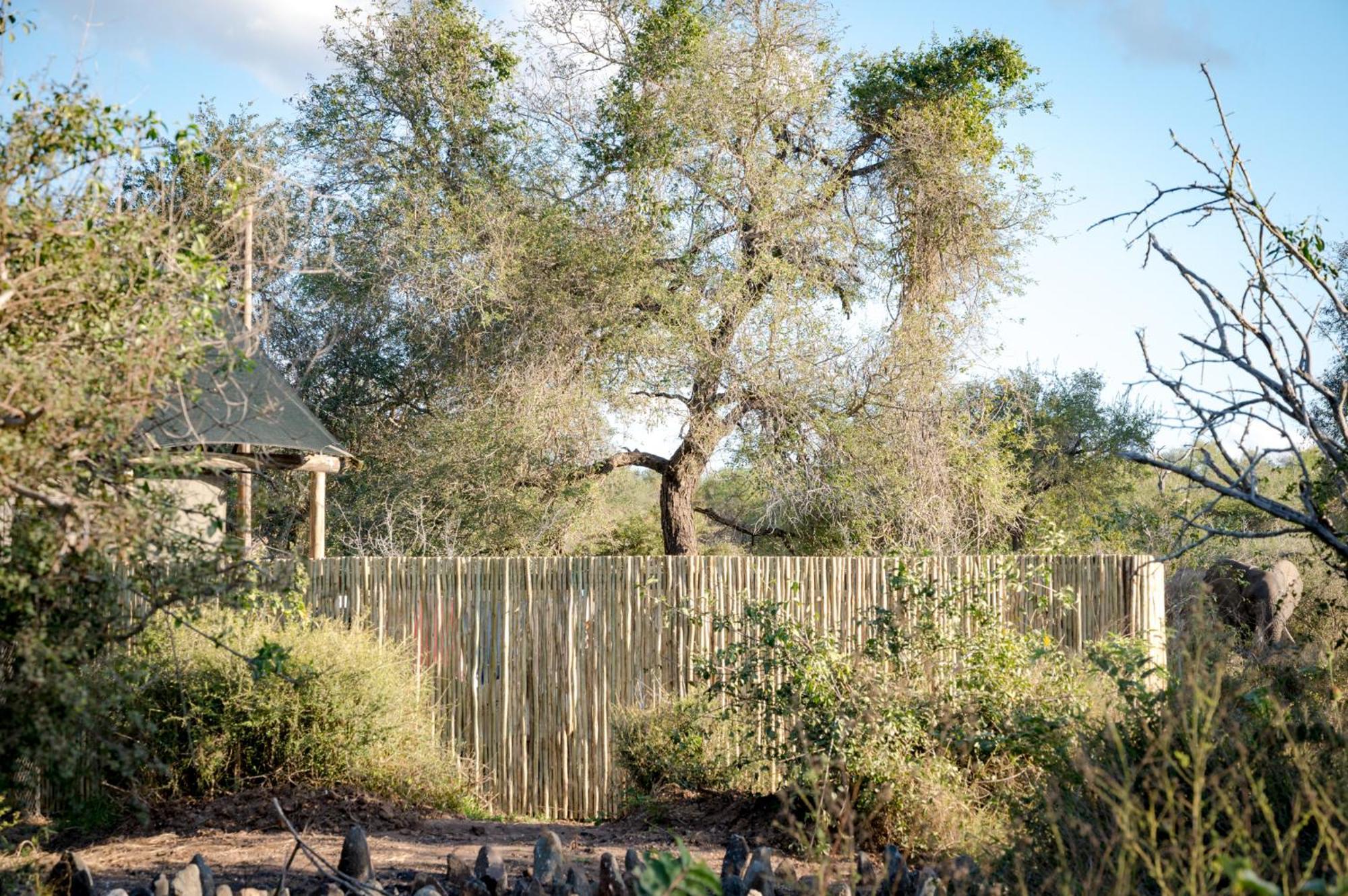 Nkuhlu Tented Camp Skukuza Exteriér fotografie